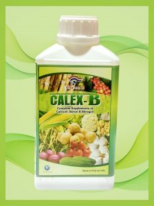 Calex B